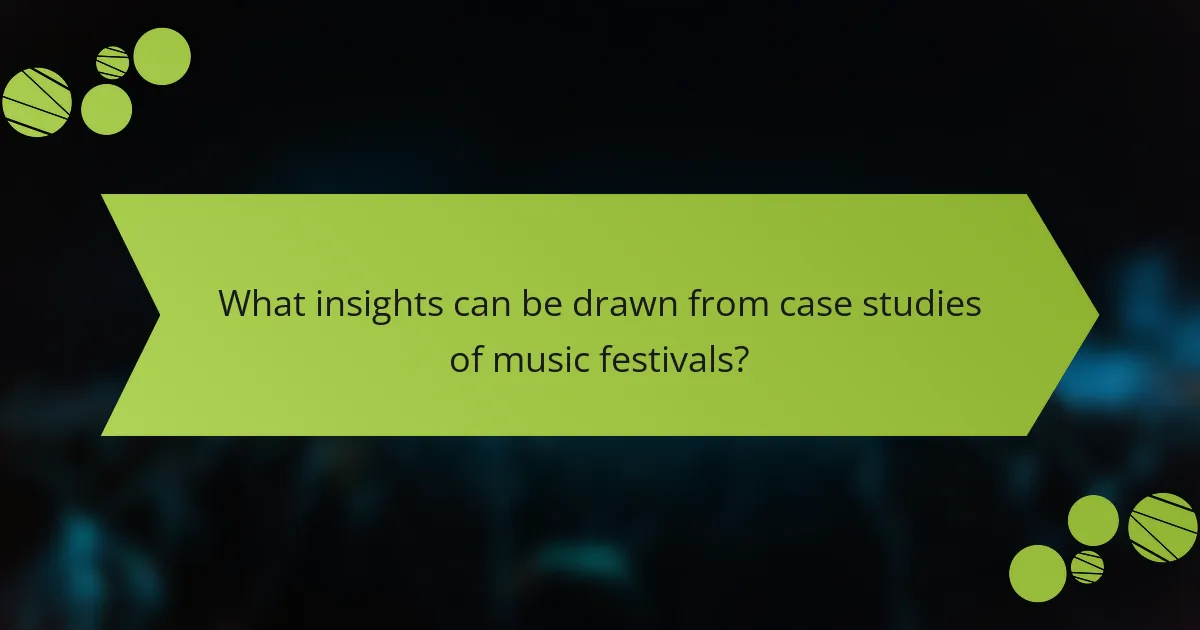 What insights can be drawn from case studies of music festivals?